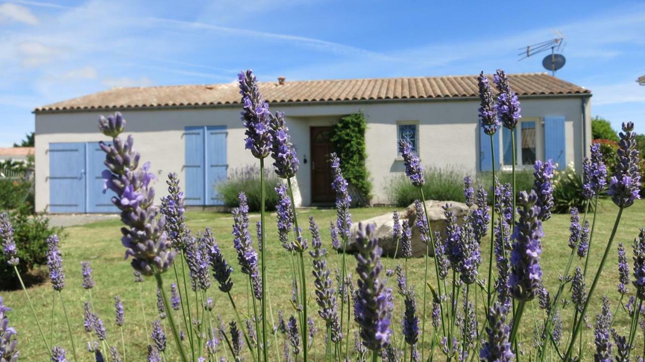 Les Lavandes Etaules (Charente-Maritime)